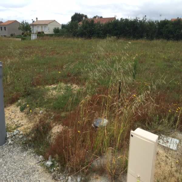 Offres de vente Terrain Sainte-Flaive-des-Loups 85150