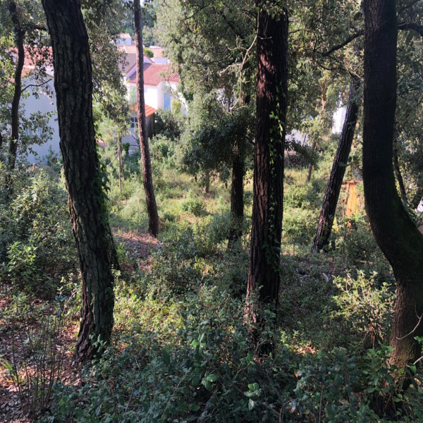 Offres de vente Terrain La Tranche-sur-Mer 85360