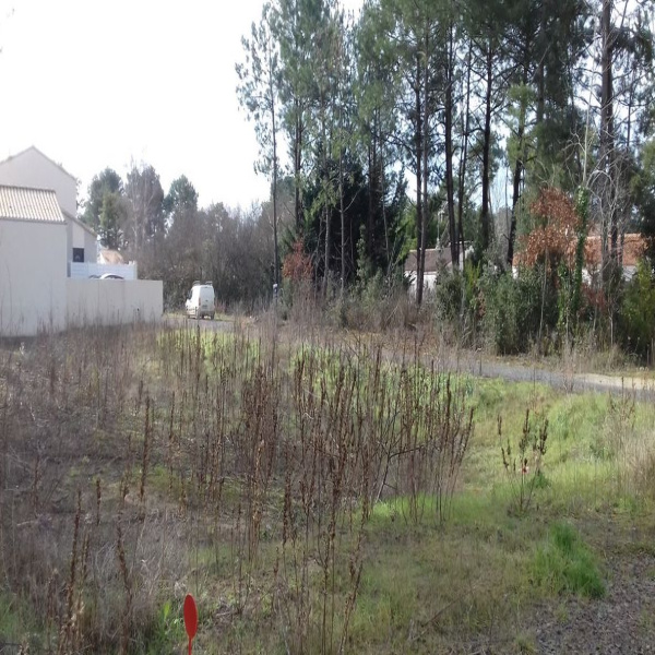 Offres de vente Terrain La Tranche-sur-Mer 85360