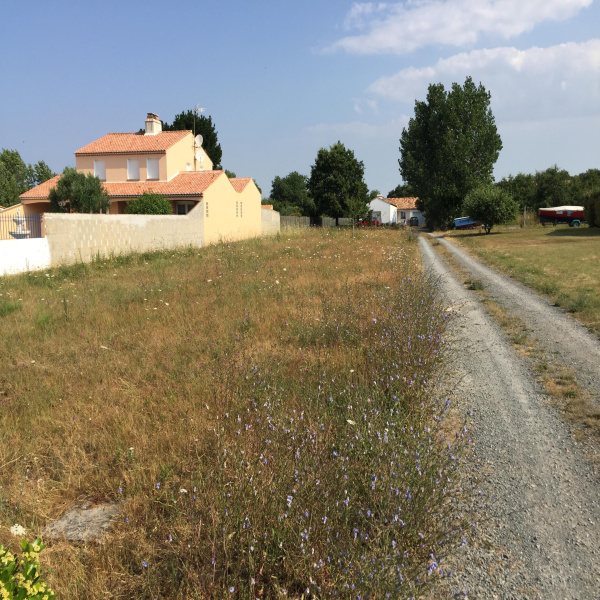 Offres de vente Terrain Brem-sur-Mer 85470